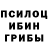 Псилоцибиновые грибы Magic Shrooms Gavin Amrol