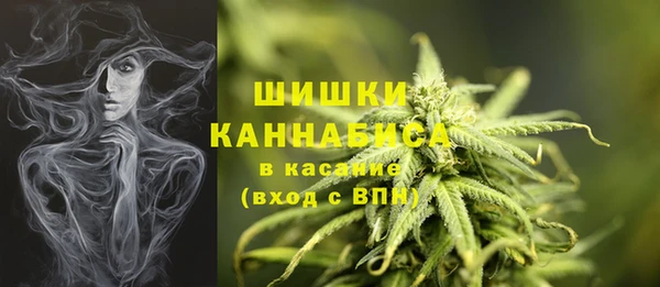 2c-b Кукмор