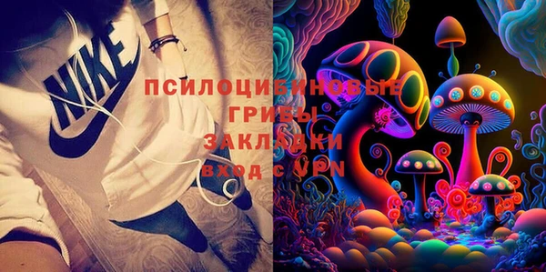2c-b Кукмор
