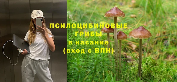 2c-b Кукмор