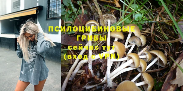 2c-b Кукмор